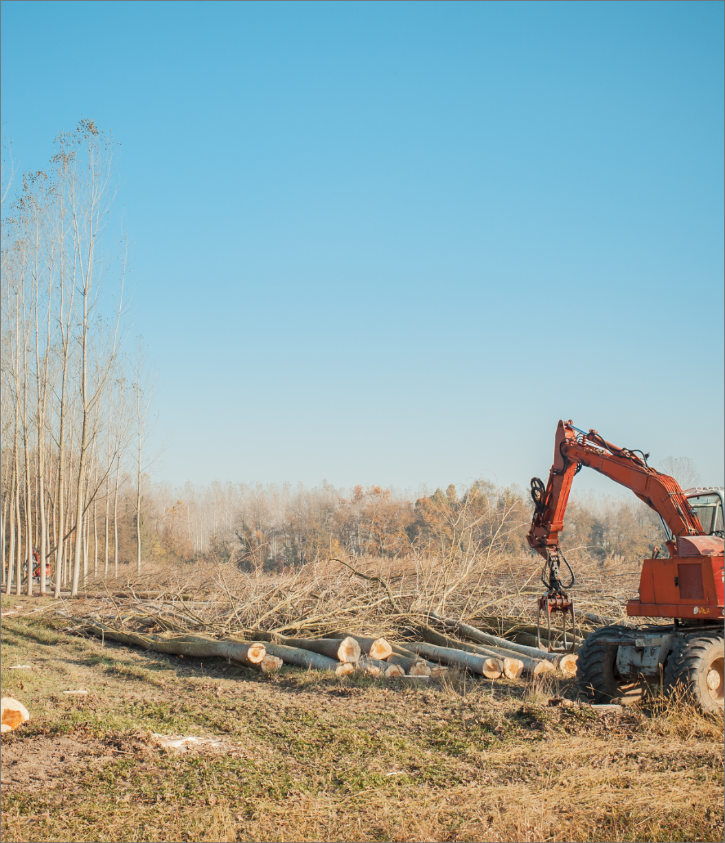 Benefits of Land Clearing